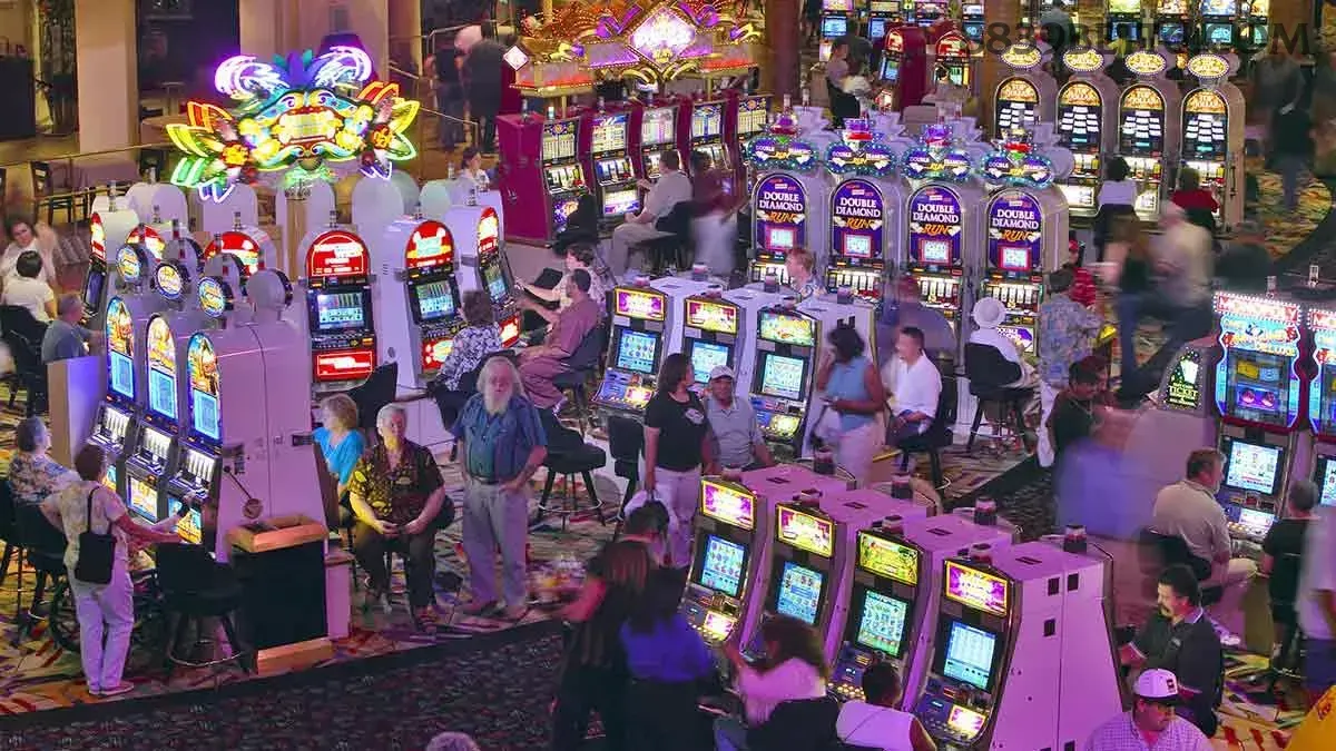 8839bet Cassino Clássico